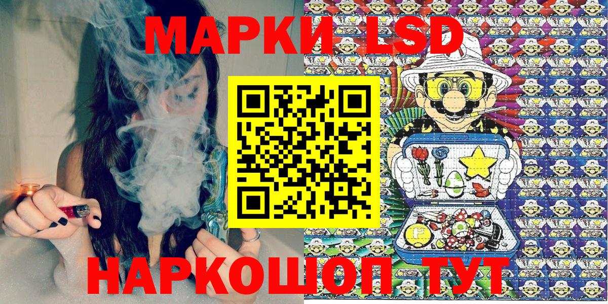 Наркотические марки  Наркотические марки 1,8мг  Вход с VPN  Бердск  Наркотические марки 1,8мг 