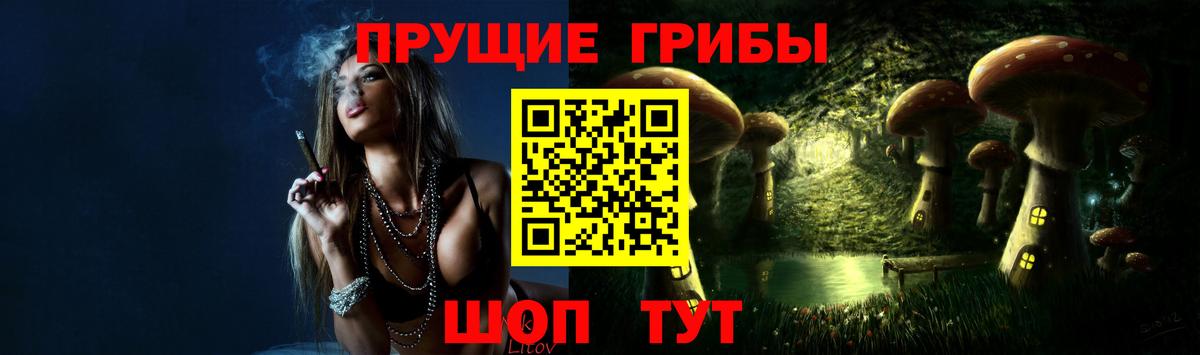 Псилоцибиновые грибы Cubensis Бердск